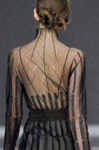 transparencia 2